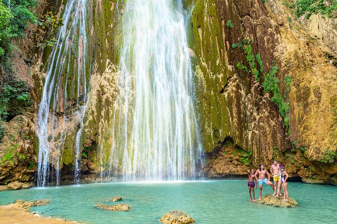 Whale Watching & Limón Waterfall Day Trip - A Long, Early Start for Whales and Waterfalls
