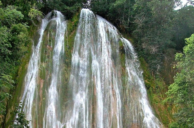 Whale Watching & Limón Waterfall Day Trip - Samana Province Whale Watching: Make the One-Hour Window Count