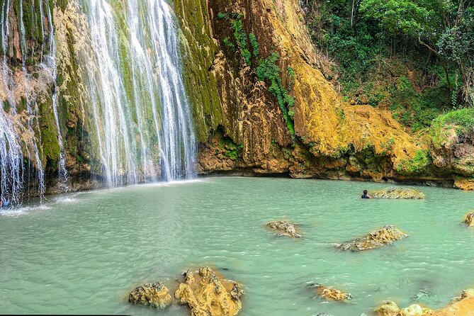 Whale Watching & Limón Waterfall Day Trip - Price and Value: Is $169 Worth the Tradeoffs?