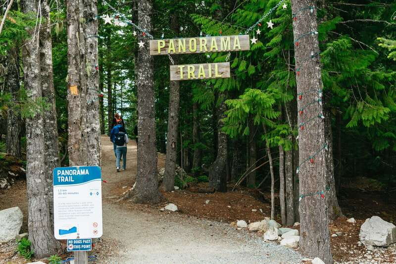 Whistler, Sea to Sky Gondola, and Shannon Falls Day Trip - Whistler Village and Surrounds: Your Three Hours to Shop or Wander