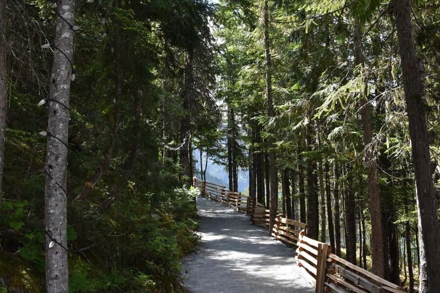 Whistler, Sea to Sky Gondola, and Shannon Falls Day Trip - The Return Ride: More Views, Same Weather Reality