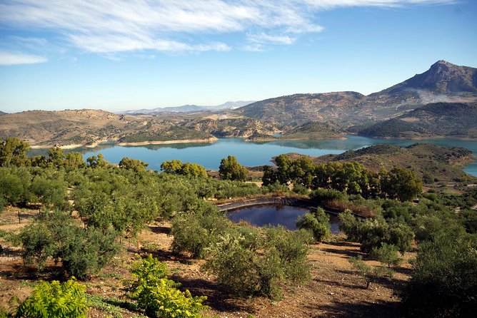 White Villages and Ronda Day Tour from Seville - Key things that make this tour work
