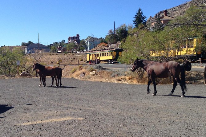 Wild West Day Trip to Virginia City from Tahoe with Train Ride - FAQ