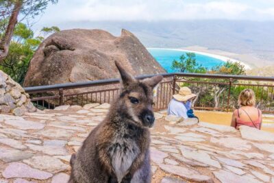 Wineglass Bay & Freycinet NP Full Day Tour from Hobart via Richmond Village - The big morning: bakery reset and coastal viewpoints