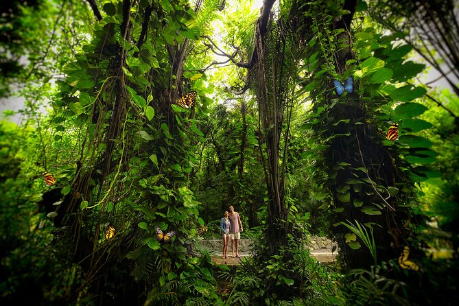 Xcaret Park Day Trip, transportation and Cultural Night Show - Water time: underground rivers, themed channels, and snorkeling options