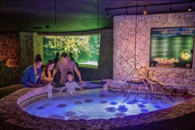 Xcaret Park Day Trip, transportation and Cultural Night Show - Getting from Cancun: pickup timing and the real-world route