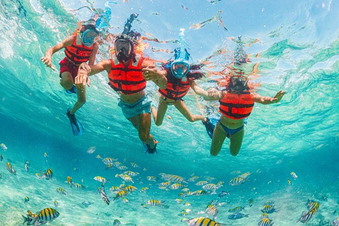 Xcaret Park Day Trip, transportation and Cultural Night Show - The Mexico Espectacular night show: the reason to stay