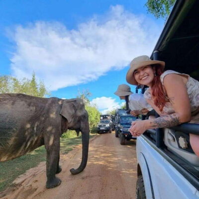 Yala National Park: All Inclusive Private Safari Day Trip - Pickup, timing, and the rhythm of the day