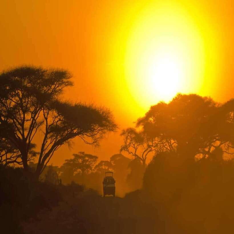 Yala National Park: All Inclusive Private Safari Day Trip - Comfort, safety, and what to bring