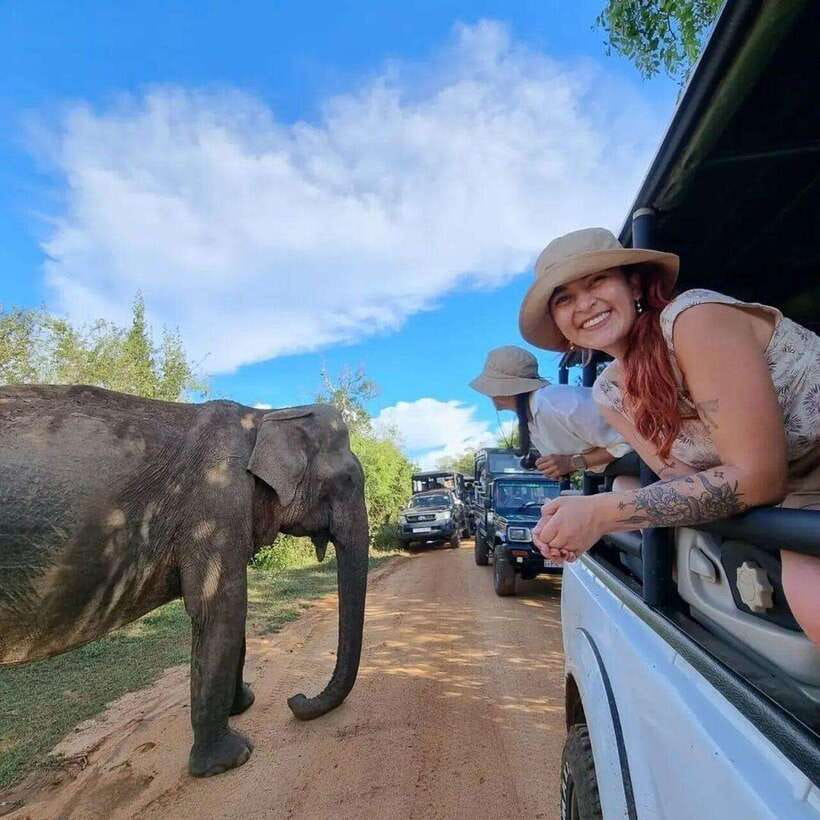 Yala National Park: All Inclusive Private Safari Day Trip - Pickup, timing, and the rhythm of the day