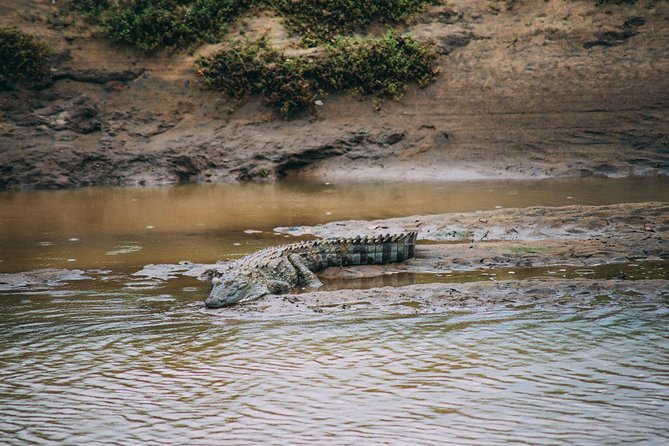 Yala Safari Private Day Trip with Return Transport -All Inclusive - Price and value check for a $140 private Yala day
