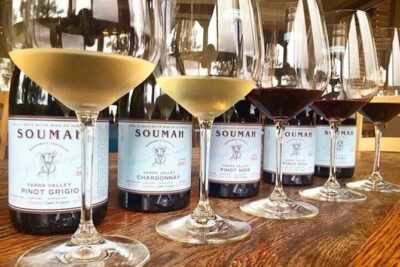 Yarra Valley Half-Day Winery Tour from Melbourne - Stop 1: Helen & Joey Estate Cellar Door in Coldstream (Gruyère Views)