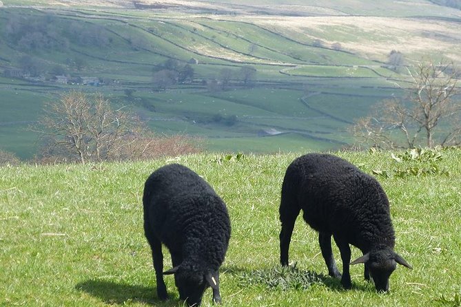 Yorkshire Dales Day Trip from York - Kettlewell for Calendar Girls: village charm and a story you can feel