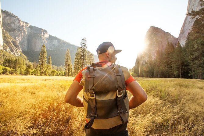 Yosemite Day Tour from San Francisco - Comfort and Group Size in a Mini-Coach: What to Pack for the Long Ride