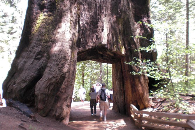 Yosemite Grand Adventure - day tour from S. Lake Tahoe - A 5:00am South Lake Tahoe departure you’ll either love or dread
