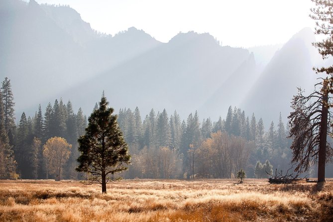 Yosemite Highlights & Giant Sequoias Day Tour from San Francisco - The Drive East: American River Stories and Getting Your Bearings Fast