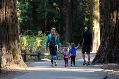 Yosemite Highlights & Giant Sequoias Day Tour from San Francisco - Tunnel View and Bridalveil Fall: The First Big Yosemite Punch