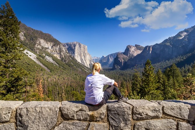 Yosemite Highlights & Giant Sequoias Day Tour from San Francisco - Tuolumne Grove and Giant Sequoias: The One Hike That Makes the Day