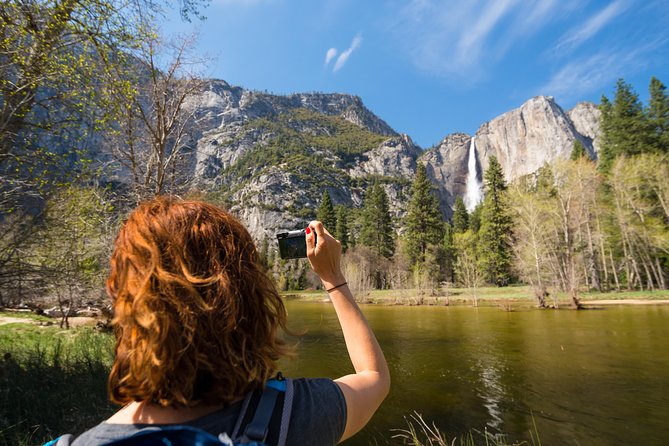 Yosemite Highlights & Giant Sequoias Day Tour from San Francisco - Tour Comfort, Group Size, and the Big Bus Reality