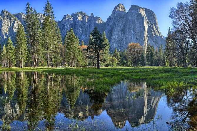 Yosemite National Park: Full Day Tour from San Francisco - Yosemite Valley Free Time: The Part You Should Plan