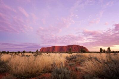 Yulara: Uluru Sunrise and Kata Tjuta Day Trip by Bus - Uluru Viewpoints and the Sunrise Glow with Tea and Coffee