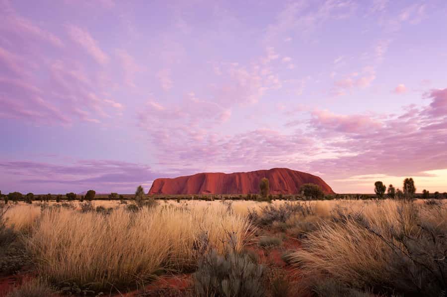 Yulara: Uluru Sunrise and Kata Tjuta Day Trip by Bus - Uluru Viewpoints and the Sunrise Glow with Tea and Coffee