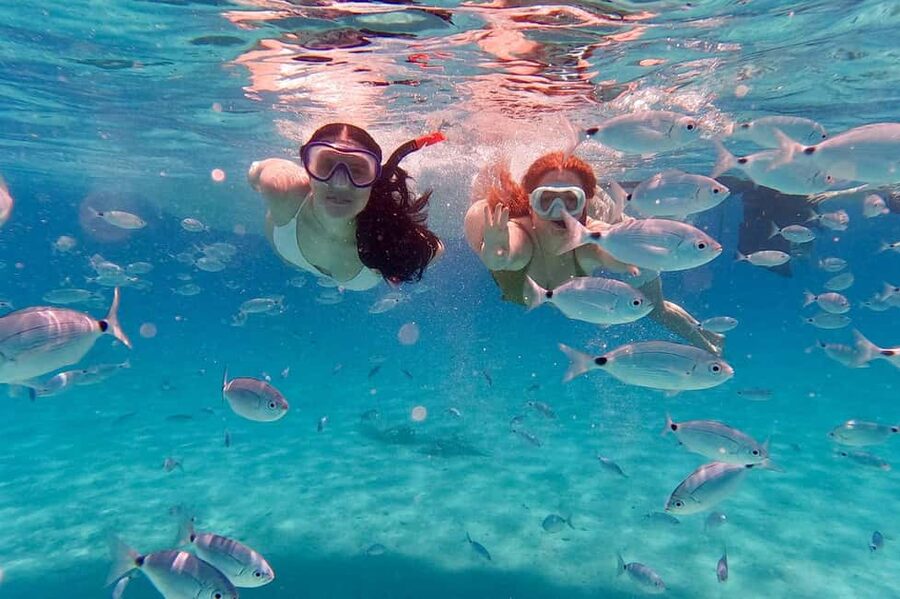 Zadar: Dugi Otok Island Discovery Day Trip with Snorkeling - Golubinka Sea Cave and Dragon’s Eye: The Iconic Swim (When Conditions Allow)