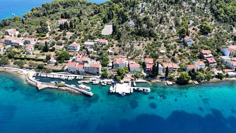 Zadar: Half-day trip boat with drinks and snorkeling - Key things I’d watch for before you go