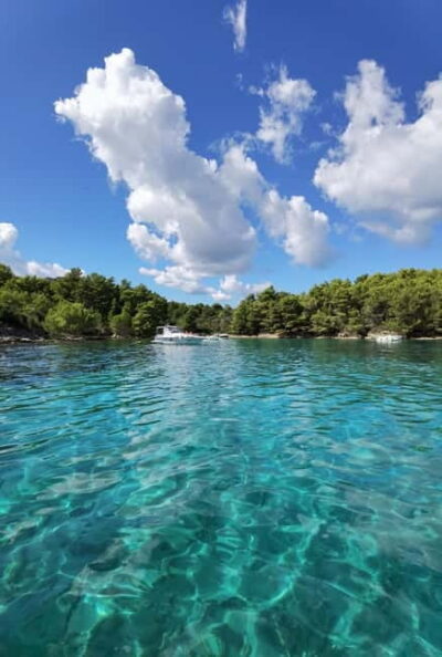 Zadar: Half-day trip boat with drinks and snorkeling - Meeting the boat in Zadar: Stari Ive and the questions worth asking