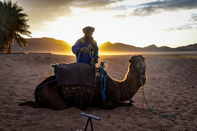 Zagora Desert: 2-Day Trip from Marrakesh - Key highlights worth getting excited about