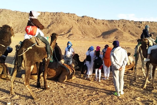 Zagora Desert Highlights: Guided 2-Day Tour from Marrakech - The 7:00 AM Start, AC Comfort, and How Private Transport Actually Feels