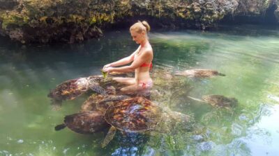 Zanzibar: Nungwi Turtle Aquarium Guided Half-Day Trip - Hotel pickup and the short ride to Nungwi (and why timing matters)