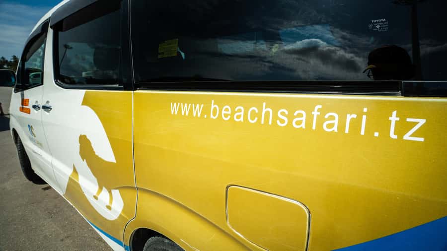 Zanzibar: Nungwi Turtle Aquarium Guided Half-Day Trip - Swimming in the Marine Turtle Conservation Lagoon: what to expect in the water
