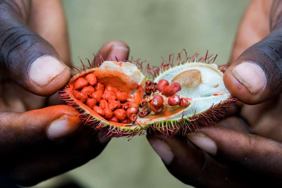 Zanzibar: Stone Town, Spice Tour, Prison Island with Lunch - My quick booking call: should you do it?
