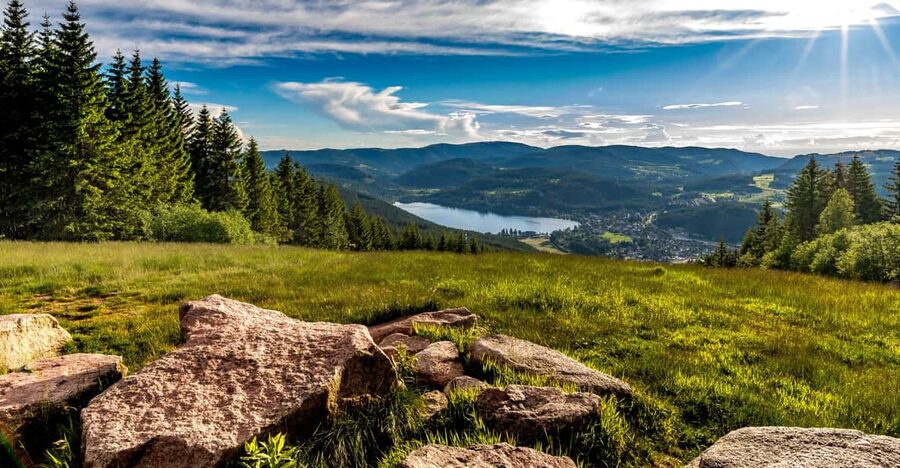 Zurich: Black Forest, Titisee, and Rhine Falls Bus Day Trip - Key things to know before you go