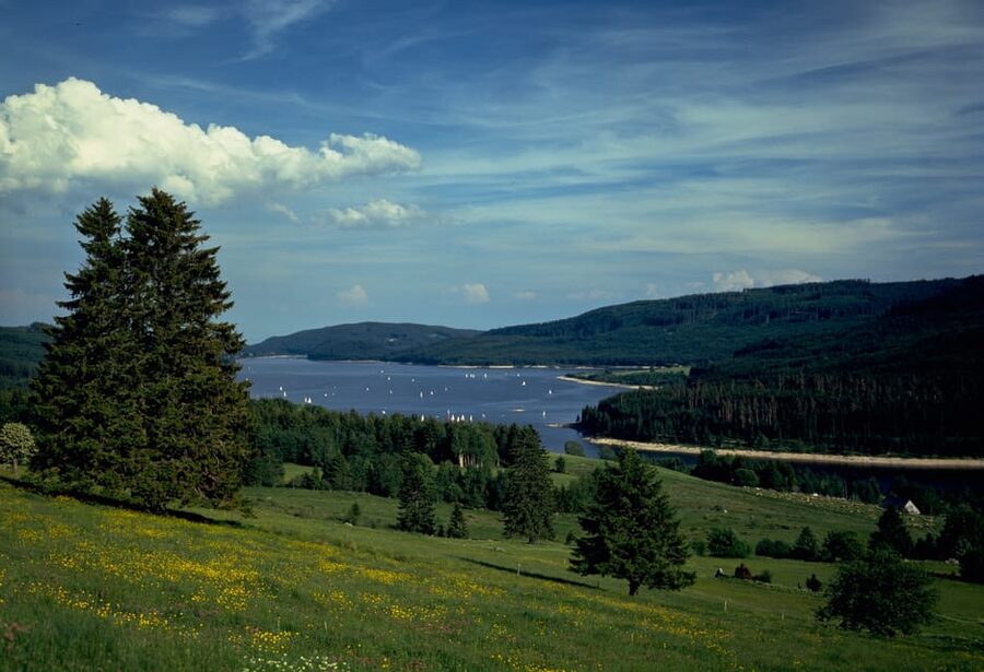 Zurich: Black Forest, Titisee, and Rhine Falls Bus Day Trip - Tips to make your day smoother