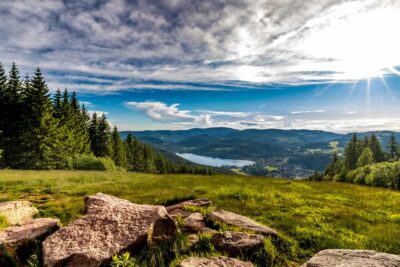 Zurich: Black Forest, Titisee, and Rhine Falls Bus Day Trip - Black Forest and Titisee: how to use your free time well