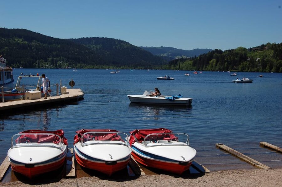Zurich: Black Forest, Titisee, and Rhine Falls Bus Day Trip - The spruce forest drive and Lenzkirch: the scenic in-between moments