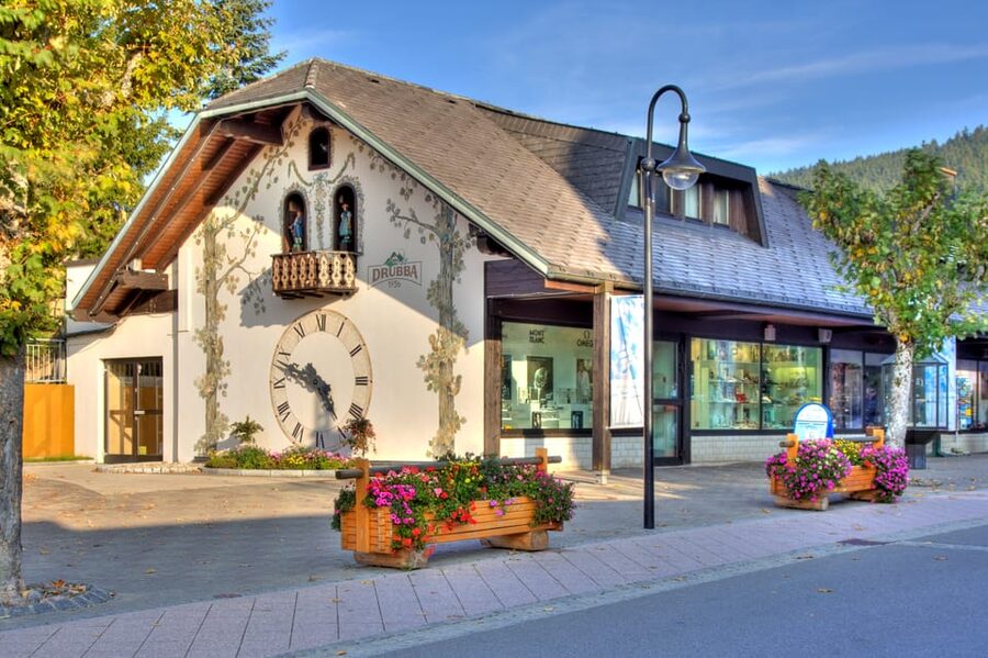 Zurich: Black Forest, Titisee, and Rhine Falls Bus Day Trip - What makes this value work for $100