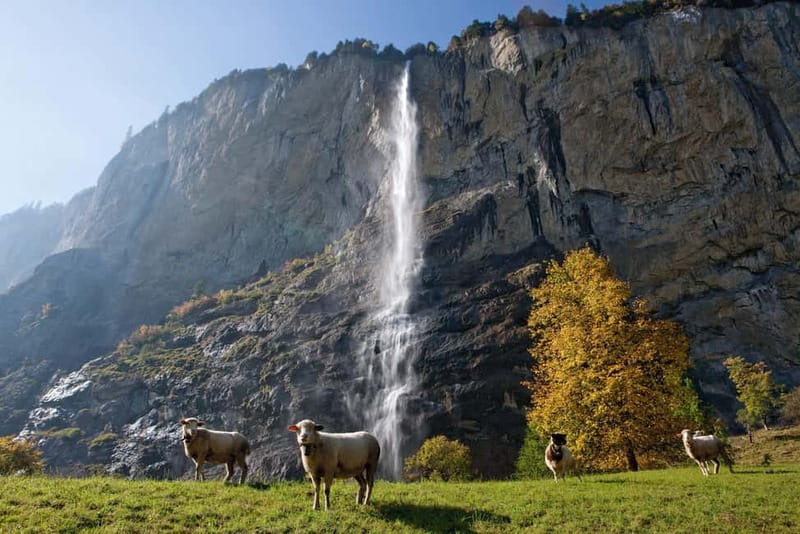 Zurich: Grindelwald, Interlaken & Lauterbrunnen Day Trip - Why this Zurich-to–Jungfrau day works (even if you only have one day)